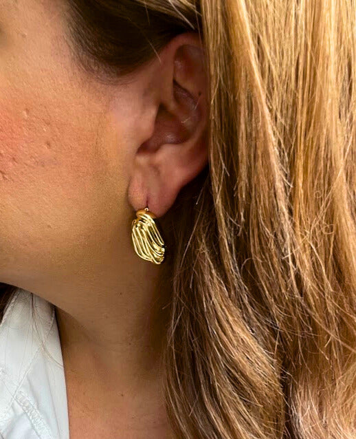 ARETES RAYAS