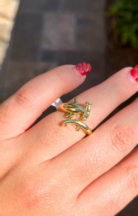 ANILLO AVION