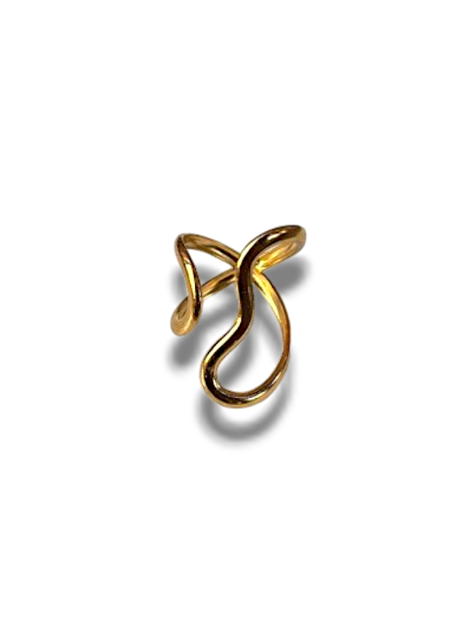 ANILLO CURVAS