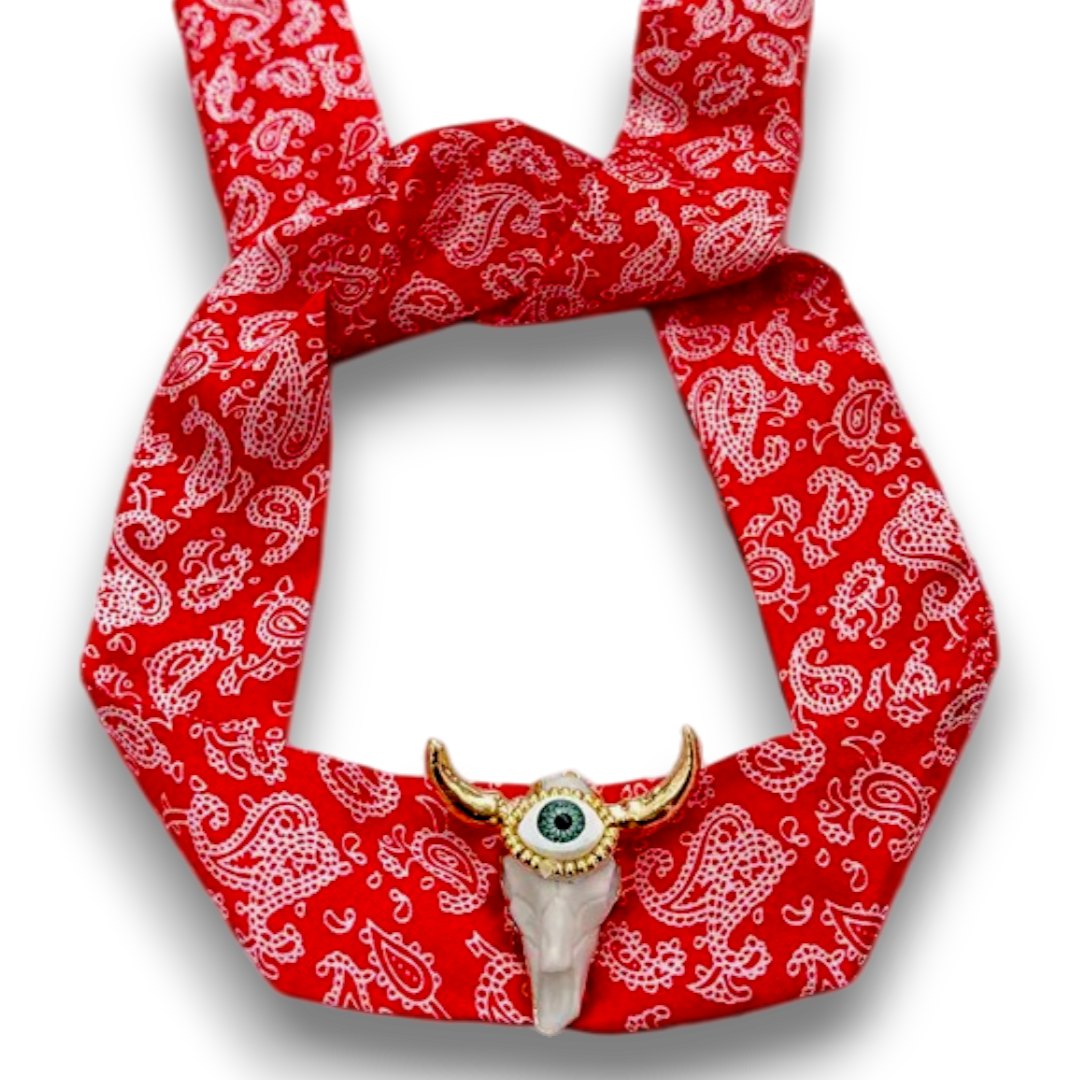 COLLAR OJO TORO