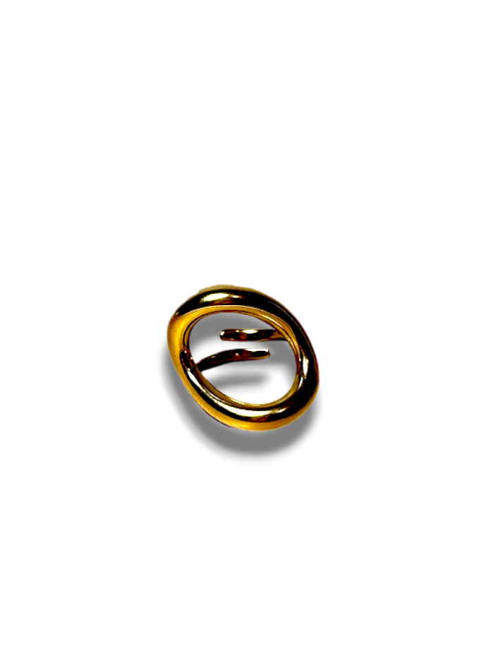 ANILLO CIRCULO CURVA