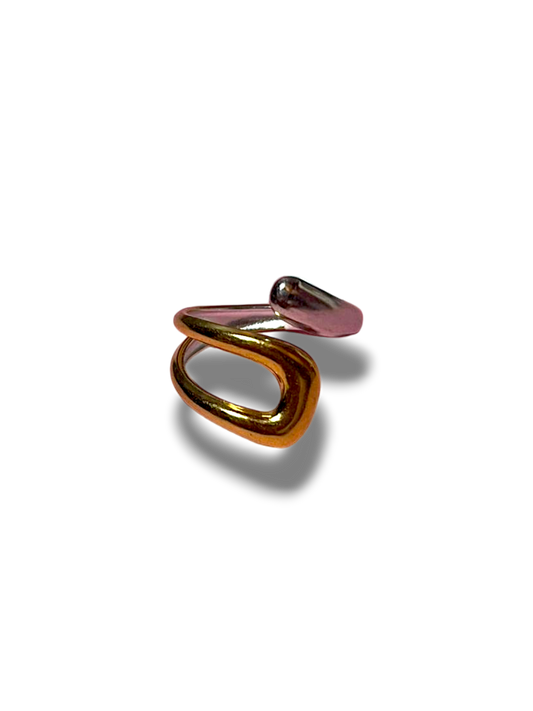 ANILLO BICOLOR