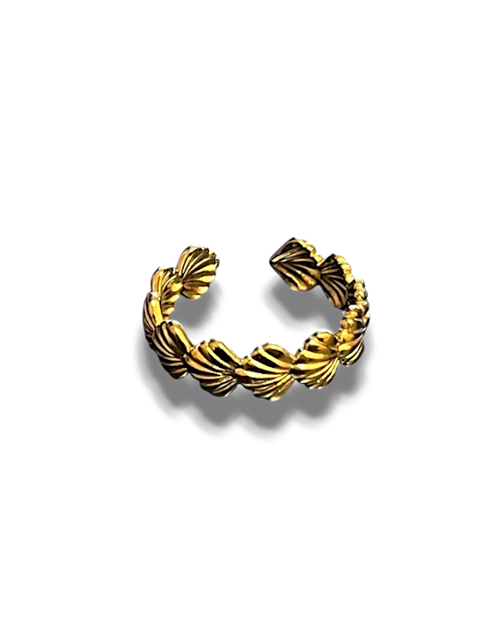 ANILLO CONCHAS