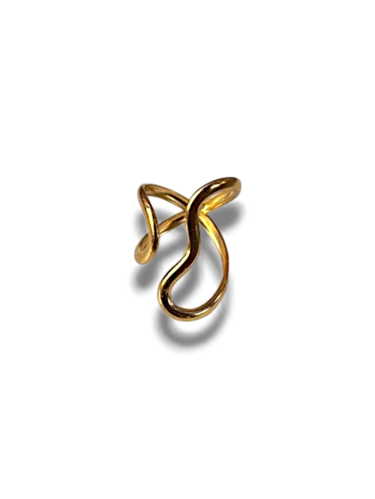 ANILLO CURVAS