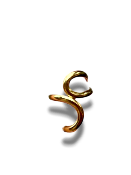 ANILLO DOS CURVAS