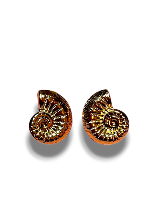 ARETES CONCHA CHICOS