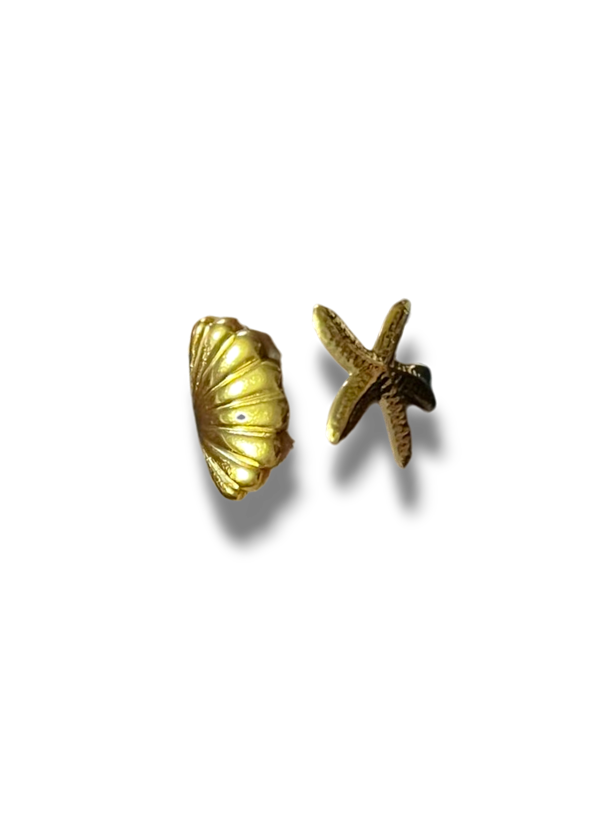 ANILLO CONCHA ESTRELLA